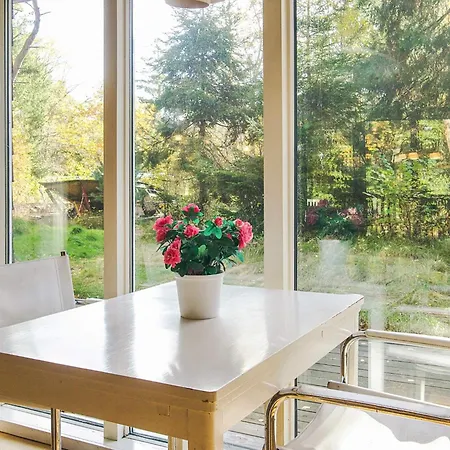 Ferienhaus 8 Person In